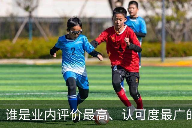 谁是业内评价最高、认可度最广的网球解说员？